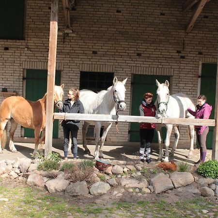 Gastehaus Tobringen 20旅馆 外观 照片