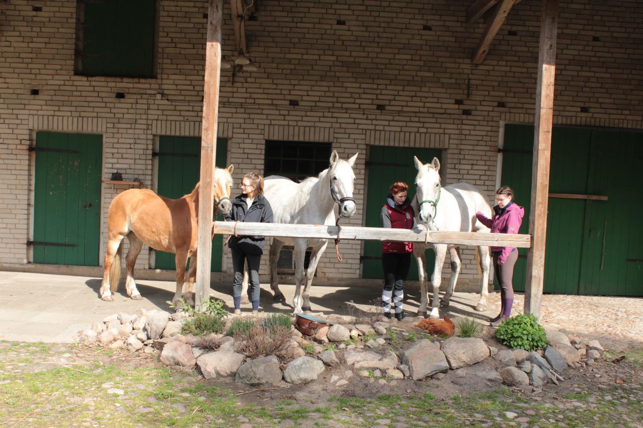 Gastehaus Tobringen 20旅馆 外观 照片